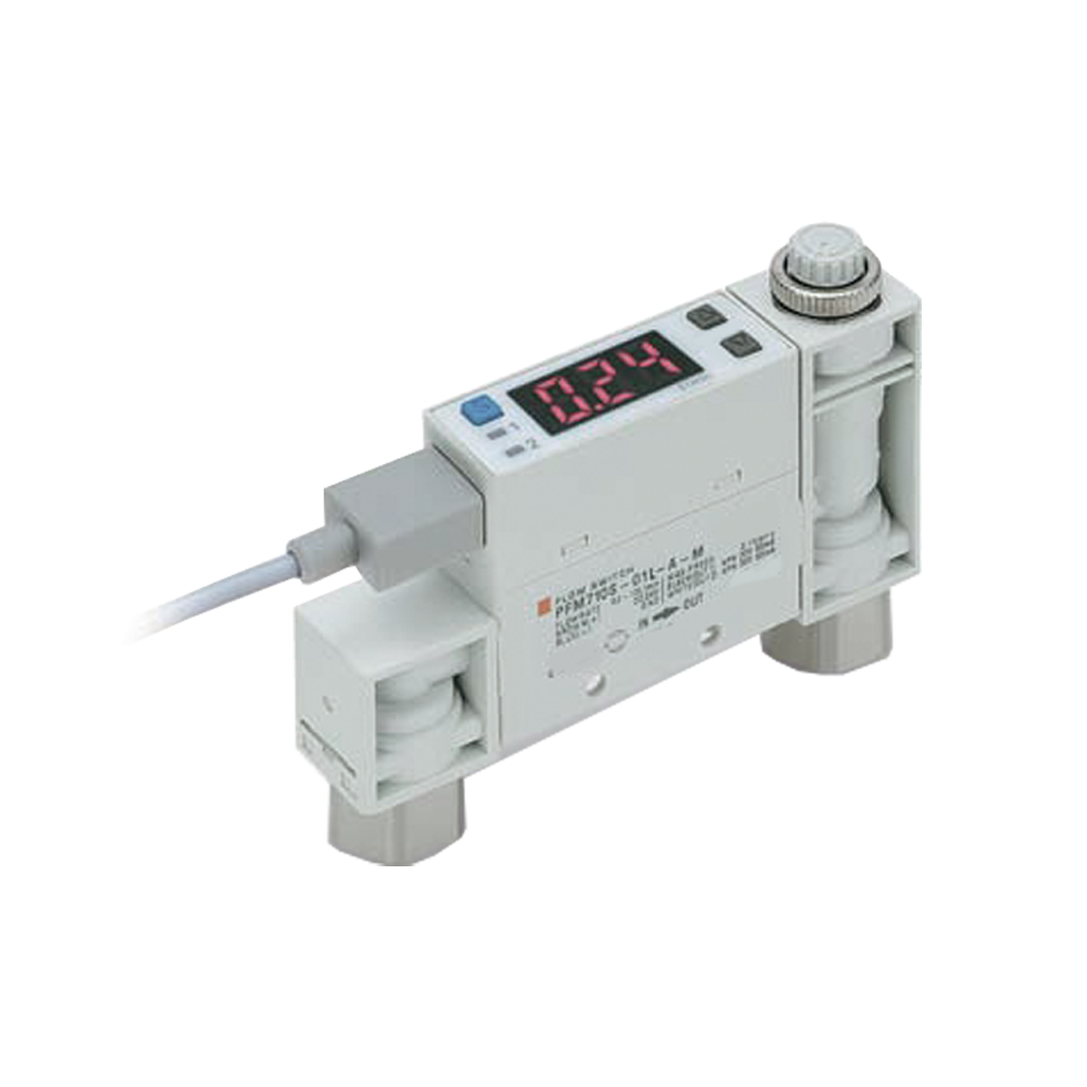 PFM Series Digital Flow Switch